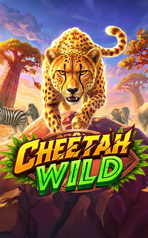 Cheetah Wild