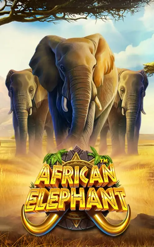 African Elephant
