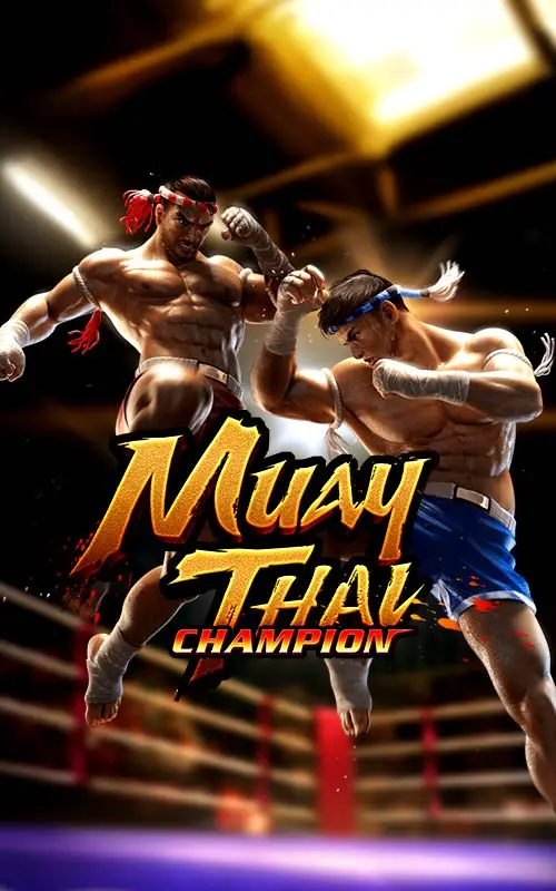 Muay Thai Champion