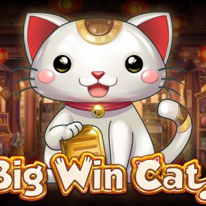 Big Win Cat