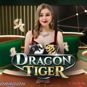 D Dragon Tiger