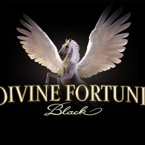 Divine Fortune Black