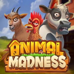 Animal Madness