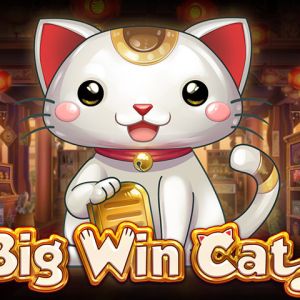 Big Win Cat