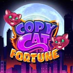 Copy Cat Fortune
