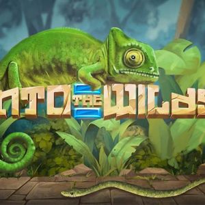 Into The Wilds